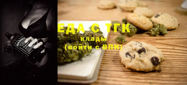 гидра Богородицк