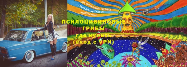 синтетический гашиш Белокуриха