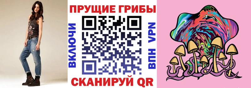 сколько стоит  Мураши  hydra ССЫЛКА  Галлюциногенные грибы мицелий 