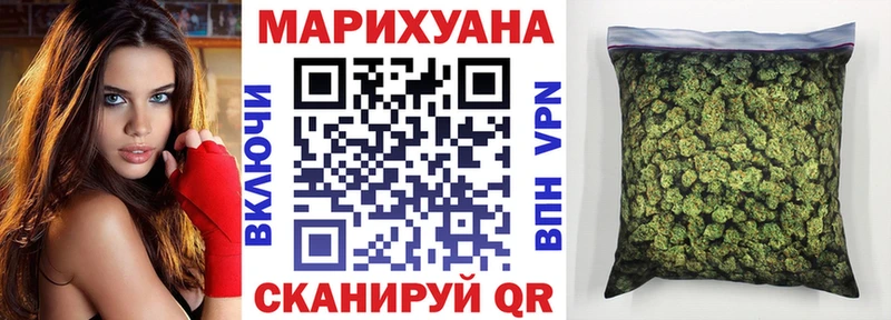 omg ССЫЛКА  Мураши  Канабис ГИДРОПОН  купить  цена 